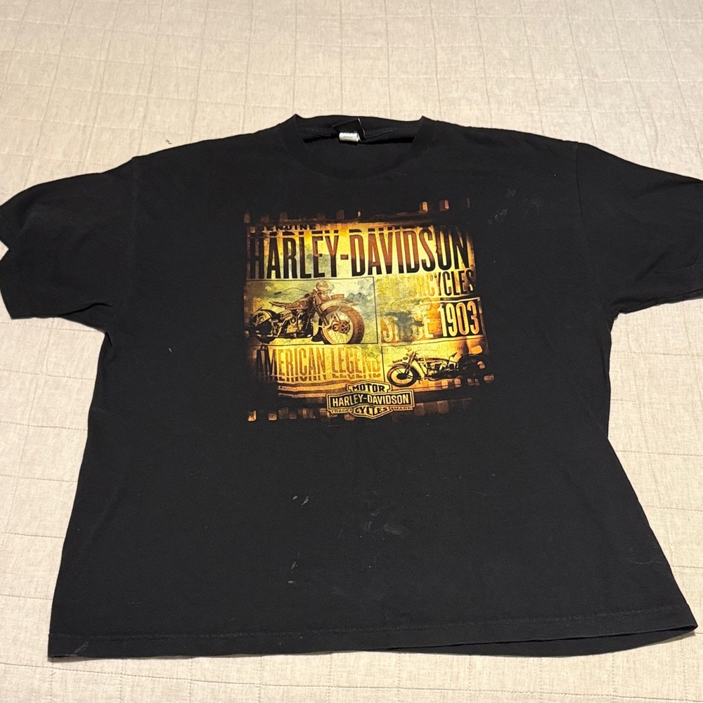 Harley-Davidson Black and Gold Graphic Tee